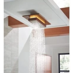 Brizo Frank Lloyd Wright 2.5 GPM 21” Single-Function Raincan Ceiling Mount Showerhead With Integrated Lighting -Brizo Sales 81422 NKTK TIGHT WATER 1