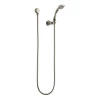 Brizo Charlotte Hand Shower Package with Hose and Wall Supply
