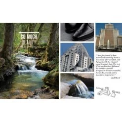 Brizo Vesi Thermostatic Mixing Valve Trim and Cartridge with Independent Volume Control and TempAssure Technology -Brizo Sales brizo t60040 vesi bath faucet inspiration image 466