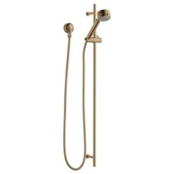 Brizo Euro 1.75 GPM Multi-Function Hand Shower Package - Includes Slide Bar, Hose, and Wall Supply